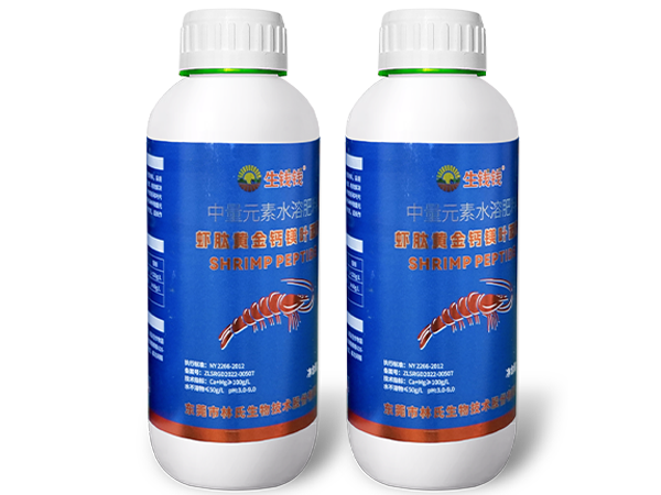 ($city /)($titles /)