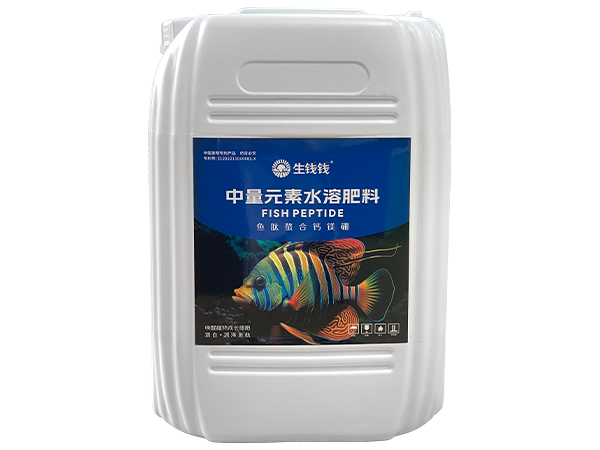 ($city /)($titles /)