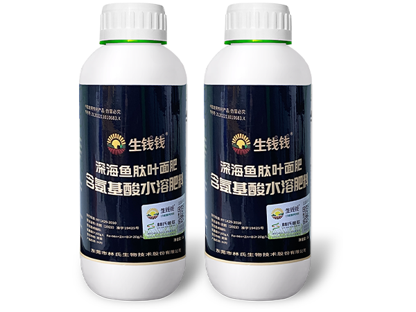 ($city /)($titles /)